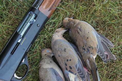 The butt stock is a checkered grip hardwood pistol grip. . Benelli montefeltro dove hunting